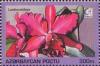 Colnect-1093-190-Laeliocattleya.jpg