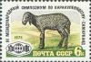 Colnect-194-653-Karakul-Lamb-Ovis-ammon-aries.jpg