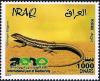 Colnect-2220-527-Snake-eyed-Lizard-Ophisops-elegans-.jpg