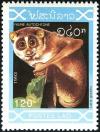 Colnect-2259-400-Pygmy-Slow-Loris-Nycticebus-pygmaeus.jpg