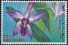 Colnect-4304-412-Laelia-anceps.jpg