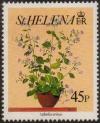 Colnect-4718-407-Lobelia-erinus.jpg