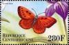 Colnect-4742-180-Lycaena-dispar.jpg