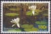 Colnect-4932-483-White-lotus-Nymphea-lotus.jpg