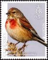 Colnect-5764-082-Eurasian-Linnet-Linaria-cannabin.jpg