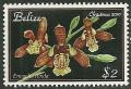 Colnect-1949-907-Prosthechea-livida-synEncyclia-livida.jpg