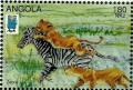 Colnect-2220-170-Lion-Panthera-leo-attacking-Zebra-Equus-sp.jpg