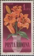 Colnect-458-509-Orange-lily-Lilium-croceum.jpg