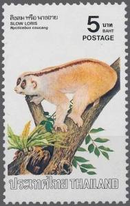 Colnect-2521-767-Sunda-Slow-Loris-Nycticebus-coucang.jpg