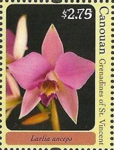 Colnect-1870-418-Laelia-anceps.jpg