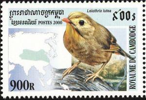 Colnect-1527-036-Red-billed-Leiothrix-Leiothrix-lutea.jpg