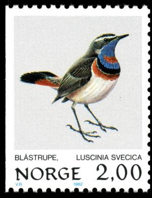 Colnect-1601-333-Bluethroat-Luscinia-svecica-svecica.jpg