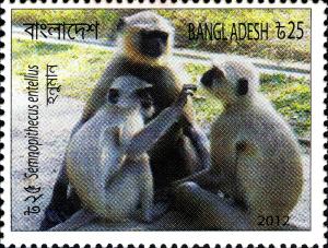 Colnect-2563-669-Bengal-Hanuman-Langur-Semnopithecus-entellus.jpg