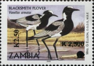 Colnect-3051-567-Blacksmith-Lapwing-Vanellus-armatus.jpg