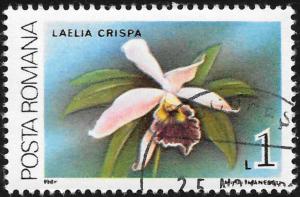 Colnect-3197-922-Laelia-crispa.jpg