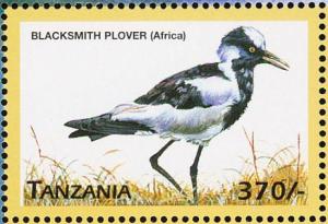 Colnect-3746-329-Blacksmith-Lapwing-Vanellus-armatus.jpg