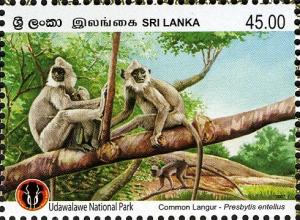 Colnect-5913-607-Bengal-Hanuman-Langur-Semnopithecus-entellus.jpg