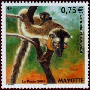 Colnect-851-166-Brown-Lemur-Lemur-fulvus-mayottensis.jpg