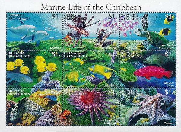 Colnect-4373-661-Marine-Life-of-the-Caribbean.jpg