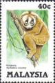 Colnect-1792-820-Sunda-Slow-Loris-Nycticebus-coucang.jpg