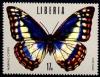 Colnect-1259-344-Cypris-Morpho-Morpho-cypris.jpg