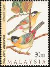 Colnect-1487-236-Silver-eared-Mesia-Leiothrix-argentauris.jpg