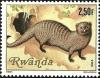 Colnect-1543-326-Banded-Mongoose-Mungos-mungo.jpg