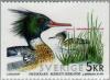 Colnect-164-787-Red-breasted-Merganser-Mergus-serrator.jpg