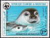 Colnect-1730-797-Mediterranean-Monk-Seal-Monachus-monachus.jpg