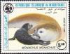 Colnect-1730-798-Mediterranean-Monk-Seal-Monachus-monachus.jpg