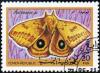 Colnect-1927-450-Io-Moth-Automeris-io.jpg