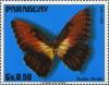 Colnect-2067-037-Sunset-Morpho-Morpho-hecuba.jpg