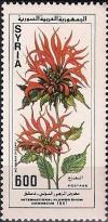 Colnect-2229-443-Monarda-didyma.jpg