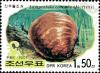 Colnect-2335-344-Freshwater-Mussel-Lamprotula-coreana.jpg