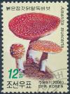 Colnect-3269-520-Fly-agaric-mushroom-amanita-muscaria.jpg