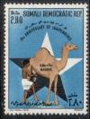 Colnect-3907-340-Boy-milking-camel-star.jpg