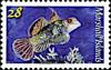 Colnect-6180-580-Mandarin-goby.jpg