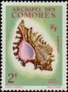 Colnect-787-704-Ramose-Murex-Murex-ramosus.jpg