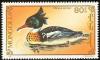 Colnect-860-481-Red-breasted-Merganser-Mergus-serrator.jpg