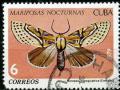 Colnect-1393-910-Hieroglyphic-Moth-Noropsis-hieroglyphica.jpg