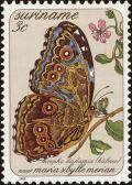 Colnect-4994-846-Deidamia-Morpho-Morpho-deidamia.jpg