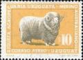 Colnect-503-271-Australian-merino-Ovis-ammon-aries.jpg