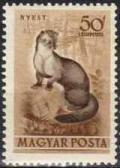 Colnect-597-446-Stone-Marten-Martes-foina.jpg