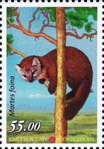 Colnect-4906-405-Beech-marten-Martes-foina.jpg