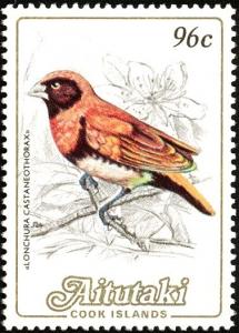 Colnect-2651-974-Chestnut-breasted-Mannikin-Lonchura-castaneothorax.jpg