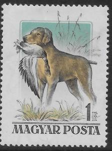 Colnect-5273-993-Magyar-Vizsla.jpg