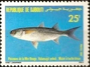 Colnect-1093-678-Bluespot-Mullet-Valamugil-sehell.jpg