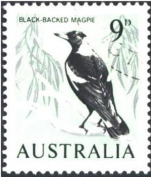 Colnect-1156-705-Australian-Magpie-Gymnorhina-tibicen.jpg