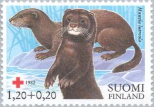 Colnect-159-820-European-Mink-Mustela-lutreola.jpg