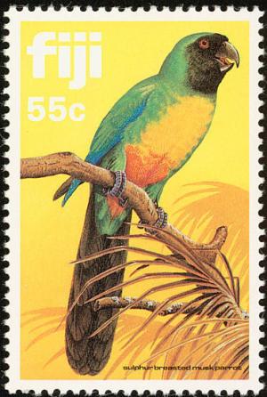 Colnect-1595-838-Sulphur-breasted-Musk-Parrot-Prosopeia-personata.jpg